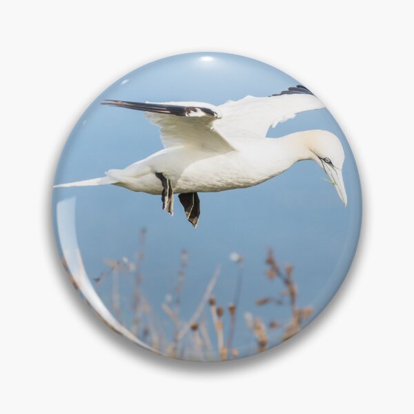 Item preview, Northern gannet flying above the top of the cliff designed and sold by wellsie82.