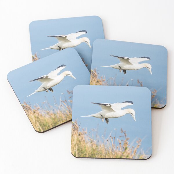 Item preview, Northern gannet flying above the top of the cliff designed and sold by wellsie82.