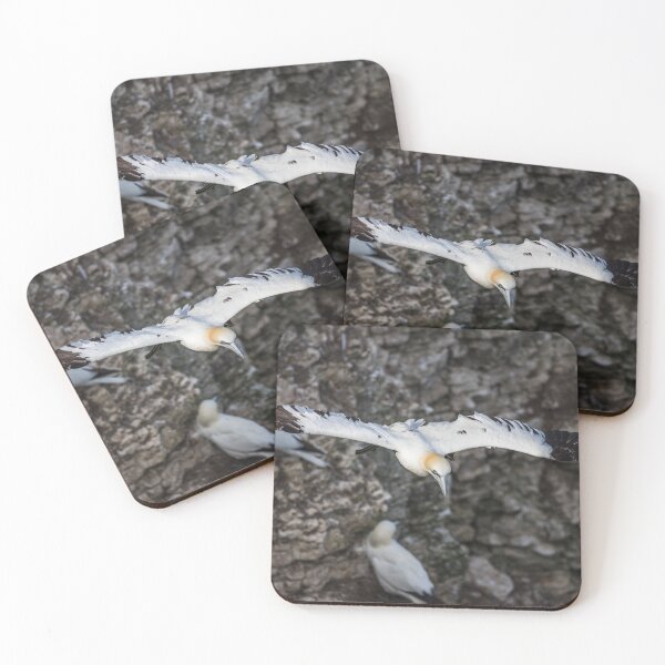Item preview, Northern gannet glides passed a colony designed and sold by wellsie82.