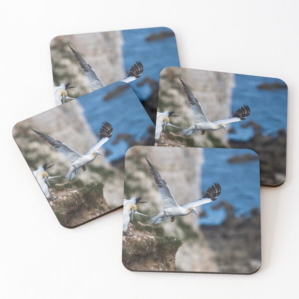 Item preview, Northern gannet taking off designed and sold by wellsie82.