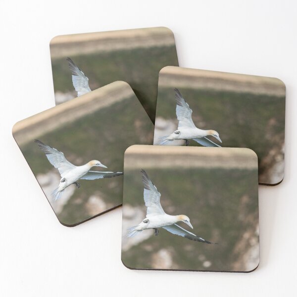 Item preview, Northern gannet slows into the wind designed and sold by wellsie82.