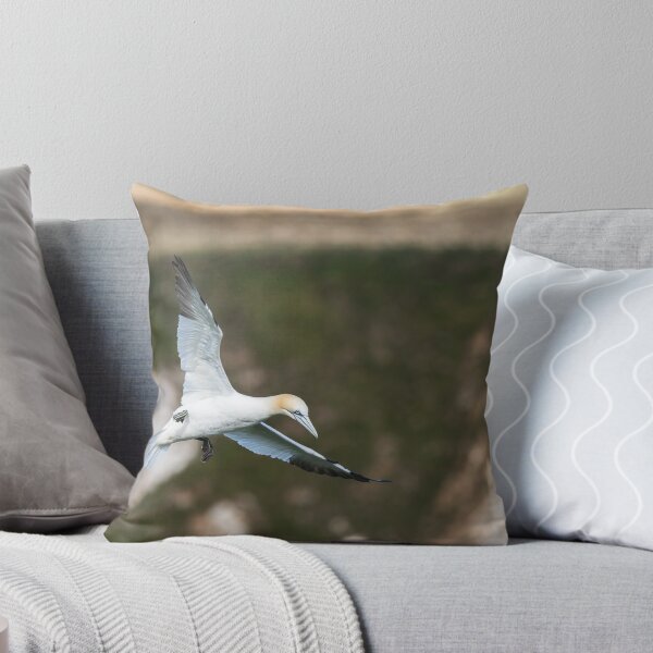Item preview, Northern gannet slows into the wind designed and sold by wellsie82.