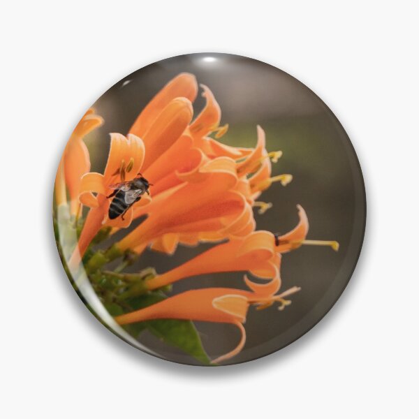 Item preview, Orange Flower and Bee designed and sold by SMartin.
