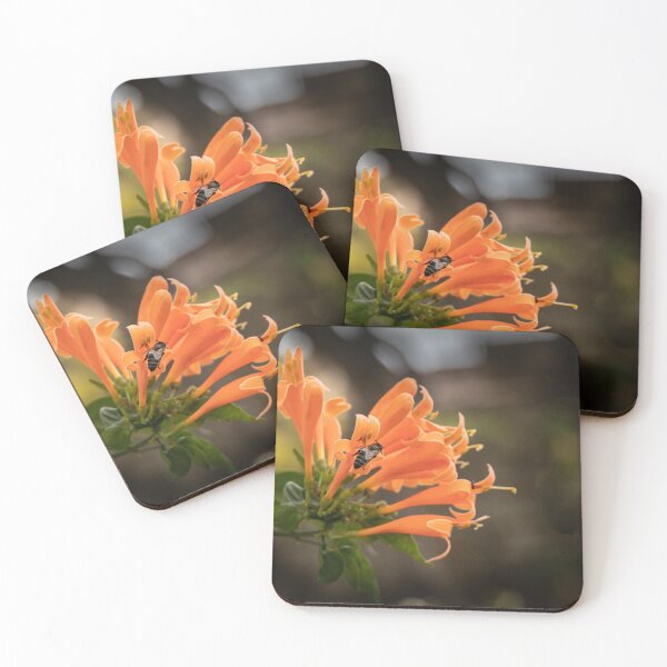 Item preview, Orange Flower and Bee designed and sold by SMartin.