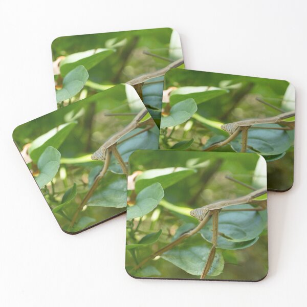 Item preview, Preying Mantis  designed and sold by cmsmith2364.