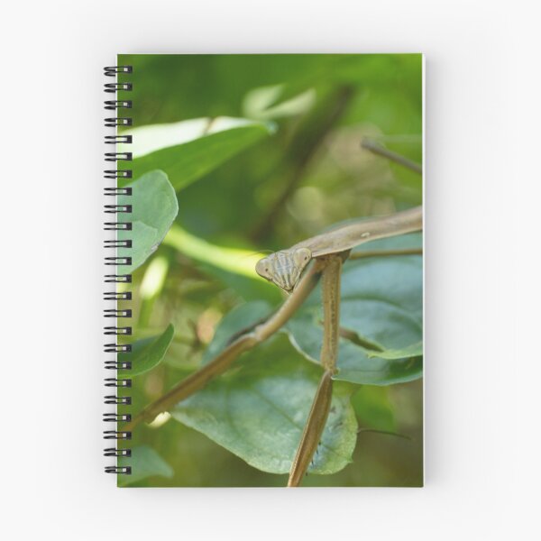 Item preview, Preying Mantis  designed and sold by cmsmith2364.