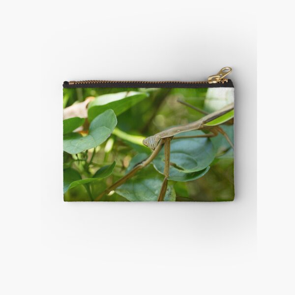 Item preview, Preying Mantis  designed and sold by cmsmith2364.