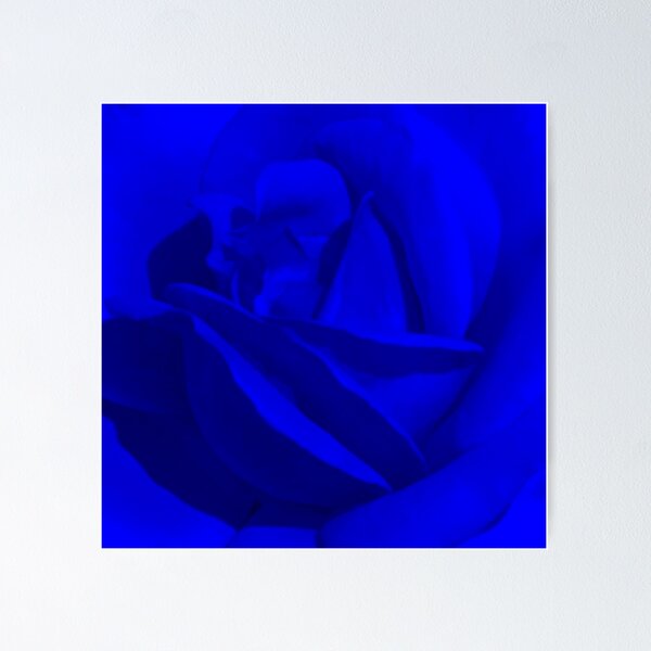 Item preview, Royal Blue Rose designed and sold by Floralife.
