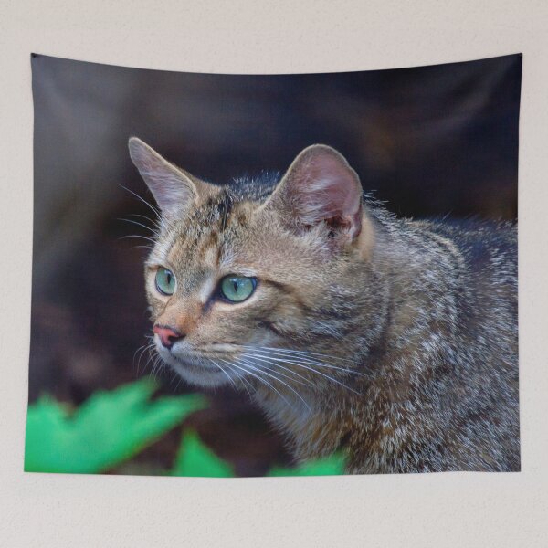 Item preview, European Wildcat designed and sold by Mythos57.