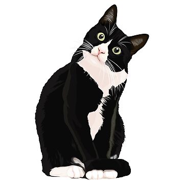 Artwork thumbnail, Black Cat by Smart-Bee