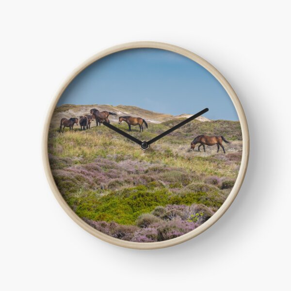 Wild horses on beautiful heathland Clock
