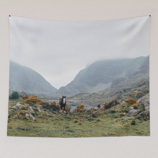 Item preview, Horse, Gap of Dunloe designed and sold by ShananElizabeth.