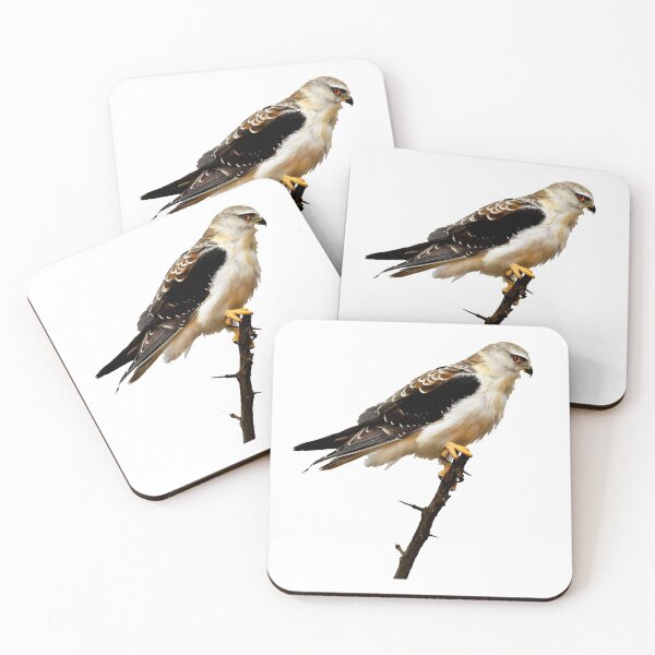 Item preview, An eagle perched on a branch Sticker designed and sold by LovelySmile.