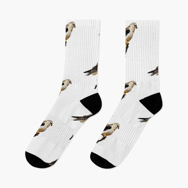 Item preview, An eagle perched on a branch Sticker designed and sold by LovelySmile.