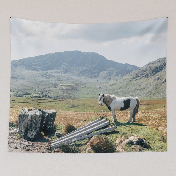 Item preview, Horse, Ring of Kerry designed and sold by ShananElizabeth.