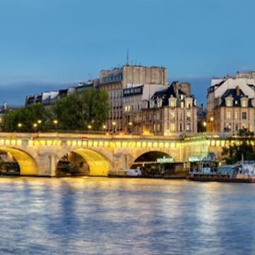 Pont Neuf Paris 02\