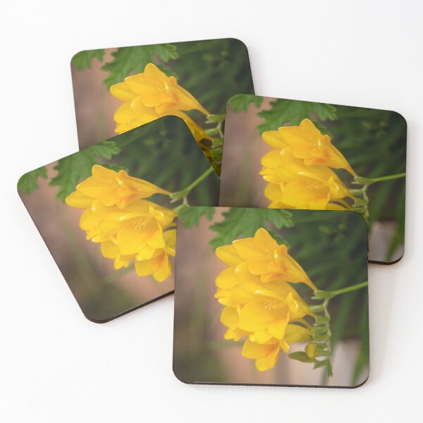 Item preview, Yellow Fresias designed and sold by SMartin.