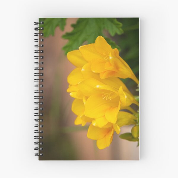 Item preview, Yellow Fresias designed and sold by SMartin.