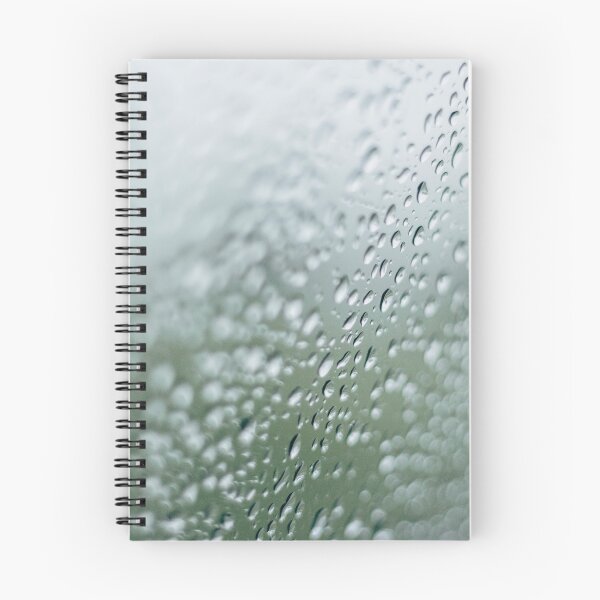 Aperçu de l'œuvre Morning Rain créée et vendue par ShananElizabeth.