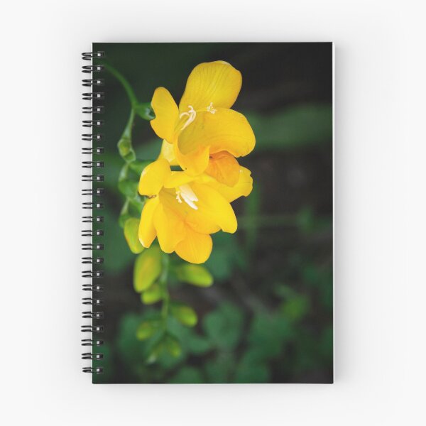 Item preview, Yellow Fresias designed and sold by SMartin.