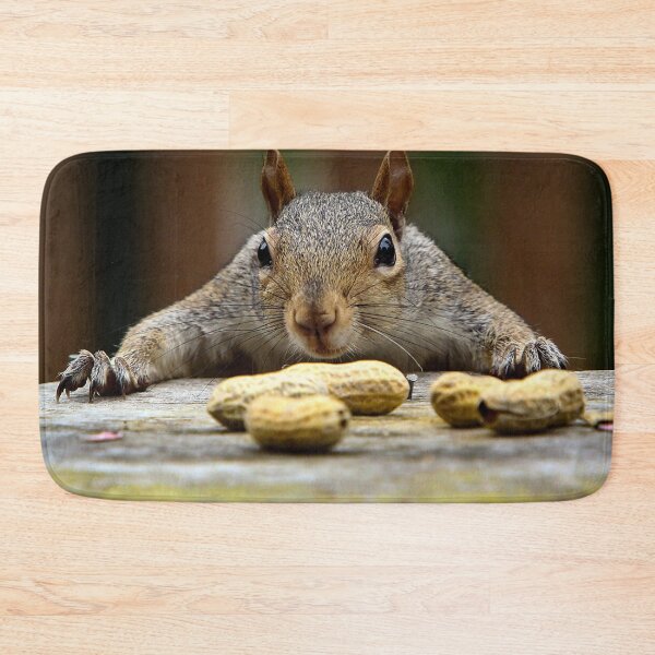 Item preview, Nutty Squirrel designed and sold by Pinapple91.