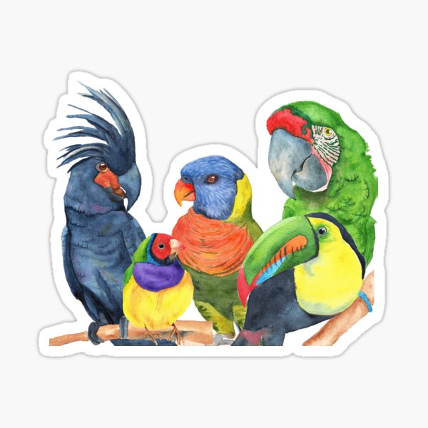Vista previa del artículo con la obra «Acuarela loros y pájaros tucán canarios pinzón guacamayo cacatúa lory», diseñado y vendido por Perroquets numériques.
