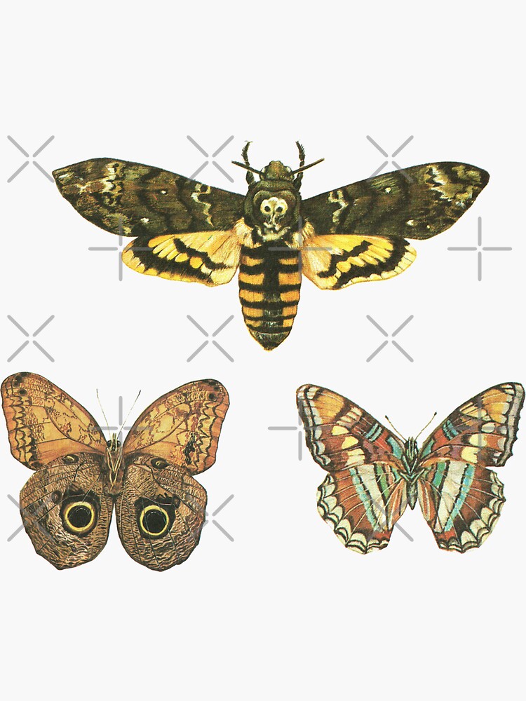 Moth Stickers - Three Pack