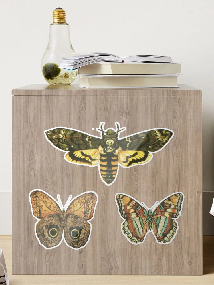 Autumn Moth Sticker – Santa Barbara Company