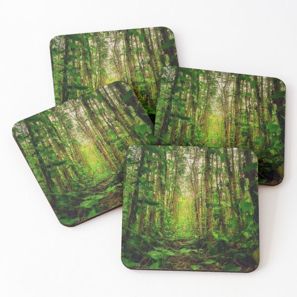 Item preview, Into The Forest | Into The Nature | Way To Heaven designed and sold by Classic Collections.