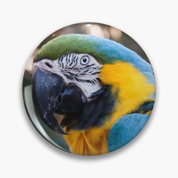 Item preview, talking parrot designed and sold by Pinapple91.