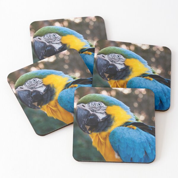 Item preview, talking parrot designed and sold by Pinapple91.