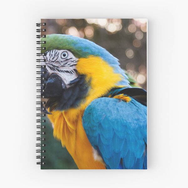 Item preview, talking parrot designed and sold by Pinapple91.