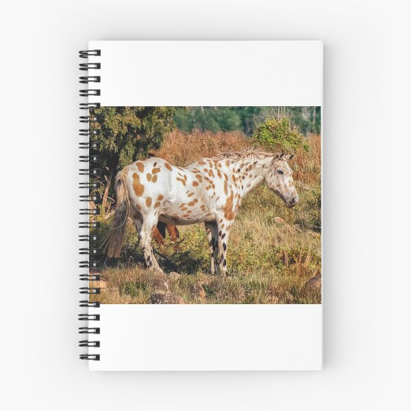 Item preview, Appaloosa designed and sold by Joe Saladino.
