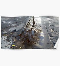 Reflections Poster