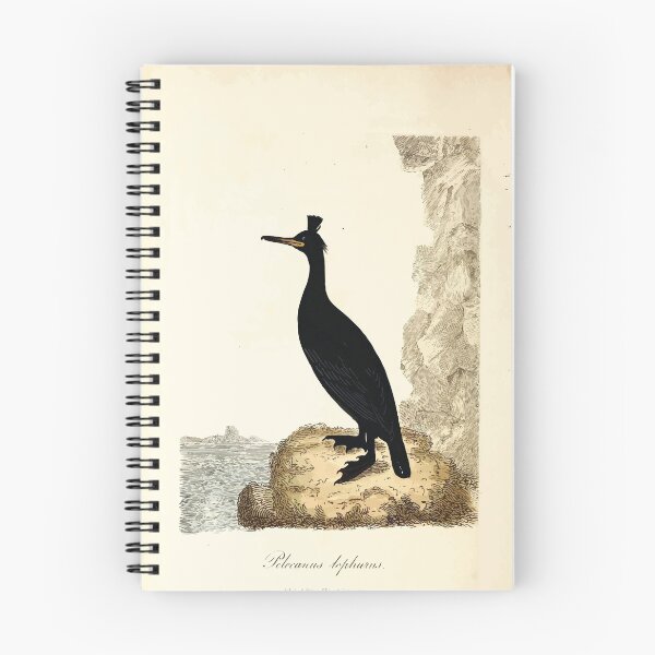 Item preview, British ornithology  being the history with a coloured representation of every known species of British birds George Graves 1821 048 designed and sold by WetdryvacRB01.