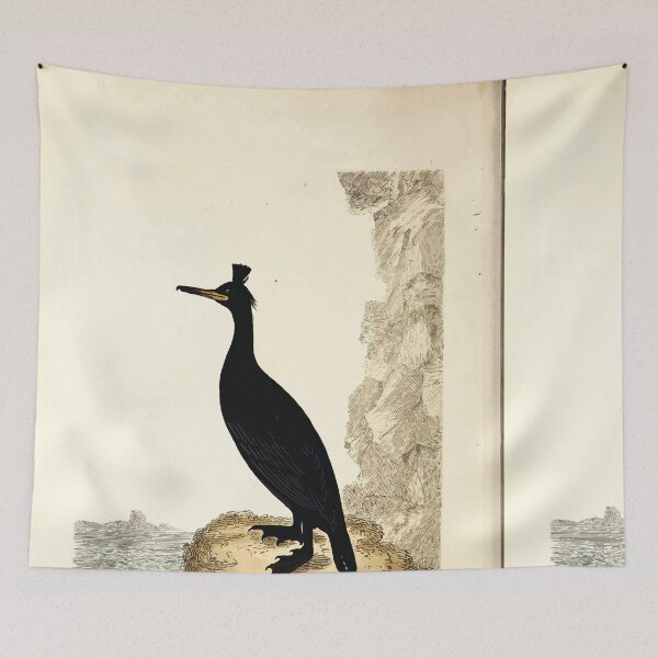 Item preview, British ornithology  being the history with a coloured representation of every known species of British birds George Graves 1821 048 designed and sold by WetdryvacRB01.
