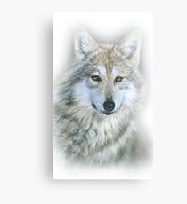 Wolf Canvas Print