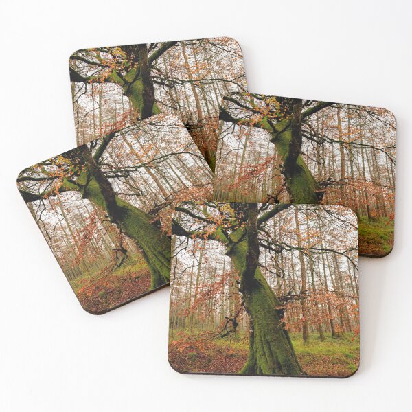 Item preview, Autumn Woodland designed and sold by Fergal Gleeson.