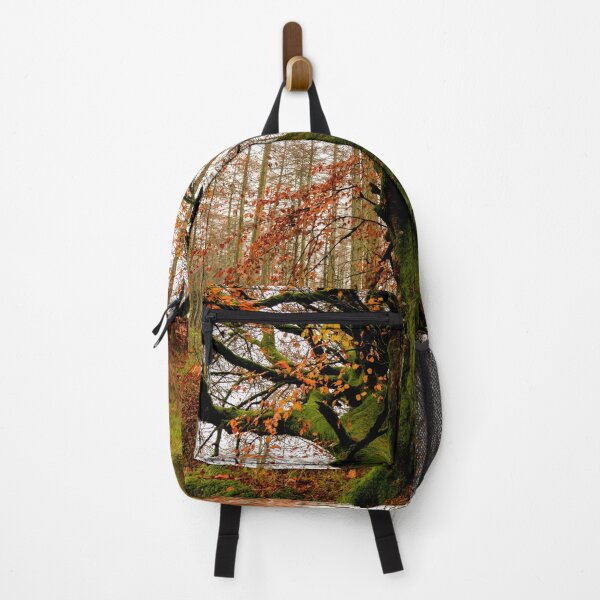 Item preview, Autumn Woodland designed and sold by Fergal Gleeson.