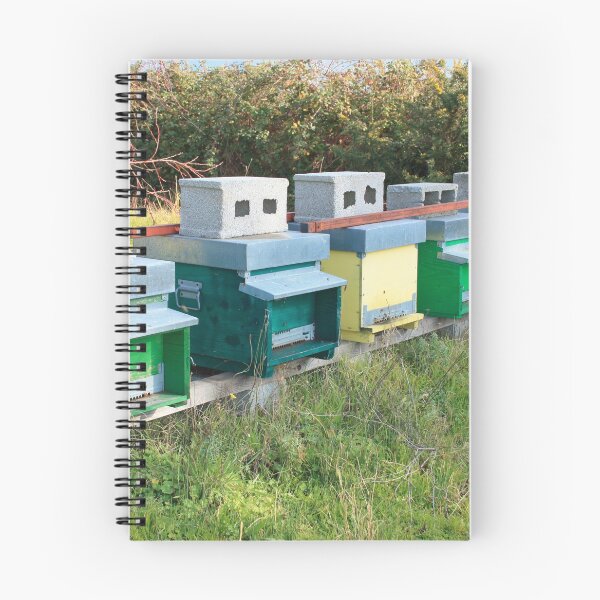 Item preview, beekeeping and hives in a row of colorful bee houses designed and sold by alessiapenny.