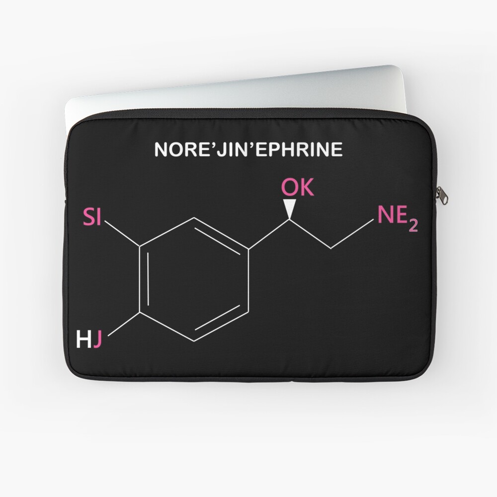 BTS Seokjin Compound Nore-jin-ephrine Laptop Sleeve