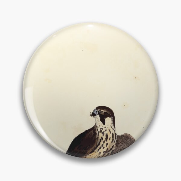 Item preview, British ornithology  being the history with a coloured representation of every known species of British birds George Graves 1821 049 designed and sold by WetdryvacRB01.