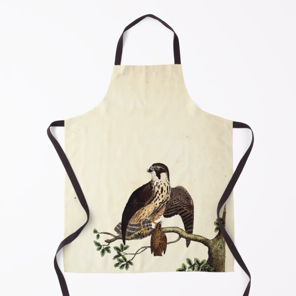 Item preview, British ornithology being the history with a coloured representation of every known species of British birds George Graves 1821 049 designed and sold by WetdryvacRB01.