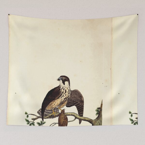 Item preview, British ornithology  being the history with a coloured representation of every known species of British birds George Graves 1821 049 designed and sold by WetdryvacRB01.