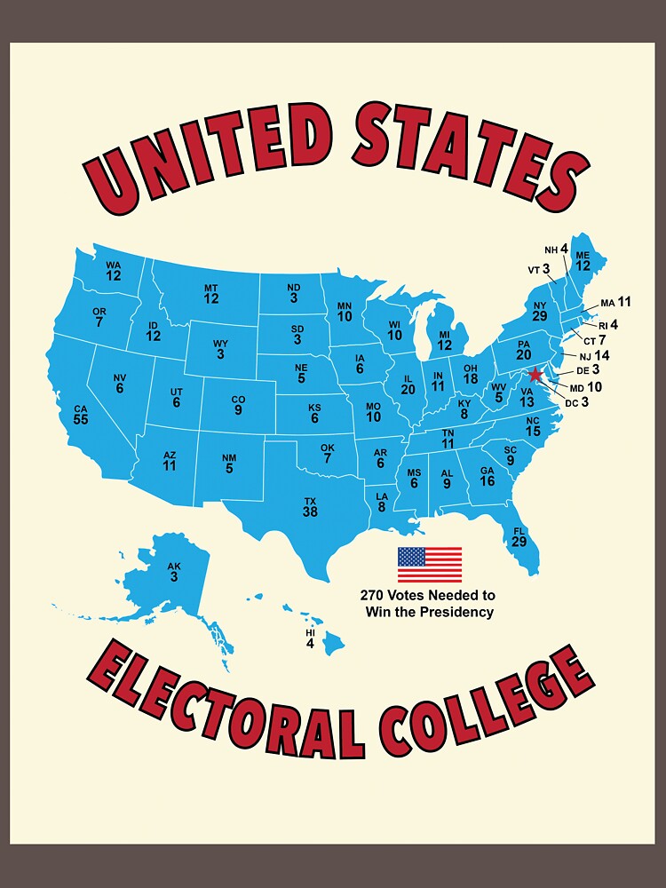 United States Electoral College Vote 2020 by BruceJones12