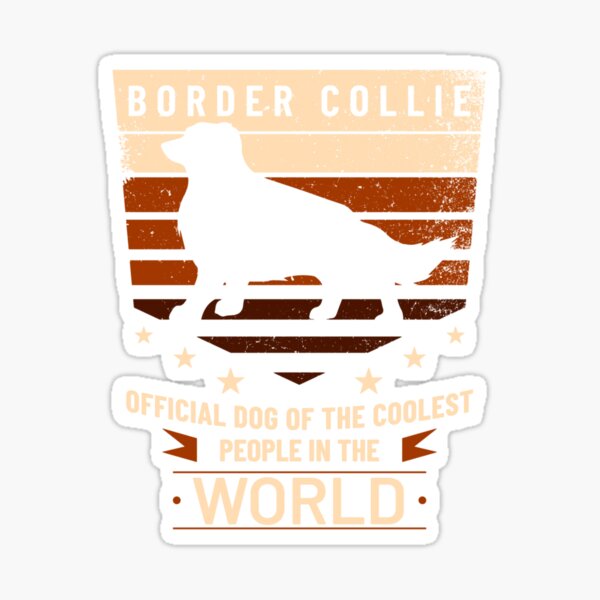 Border Collie Official Dog Of The Coolest People Sticker