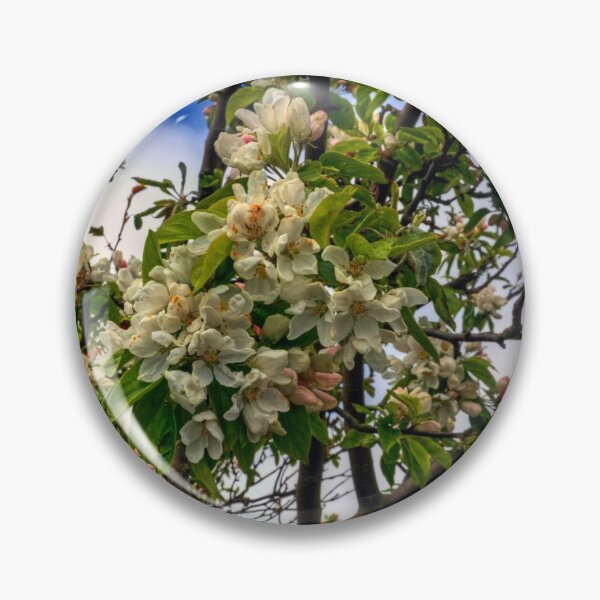 Item preview, Blossoms designed and sold by tomg.