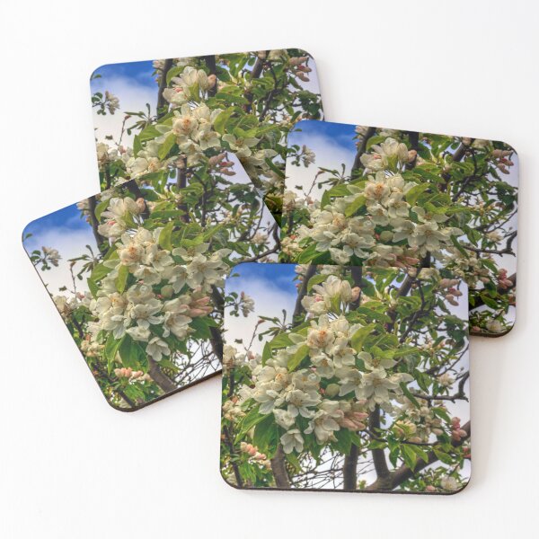 Item preview, Blossoms designed and sold by tomg.