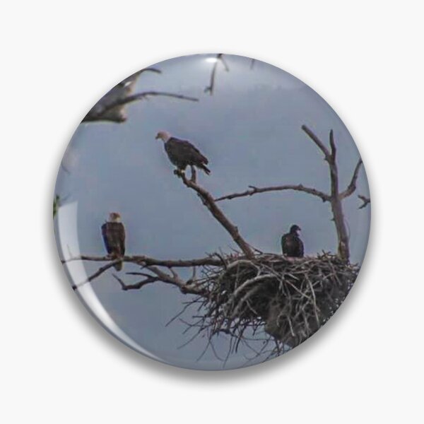 Item preview, Bald Eagle Family  designed and sold by LisaMPierce1990.