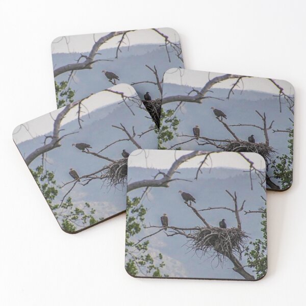 Item preview, Bald Eagle Family  designed and sold by LisaMPierce1990.